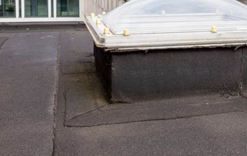 disadvantages of Nether Row flat roofs